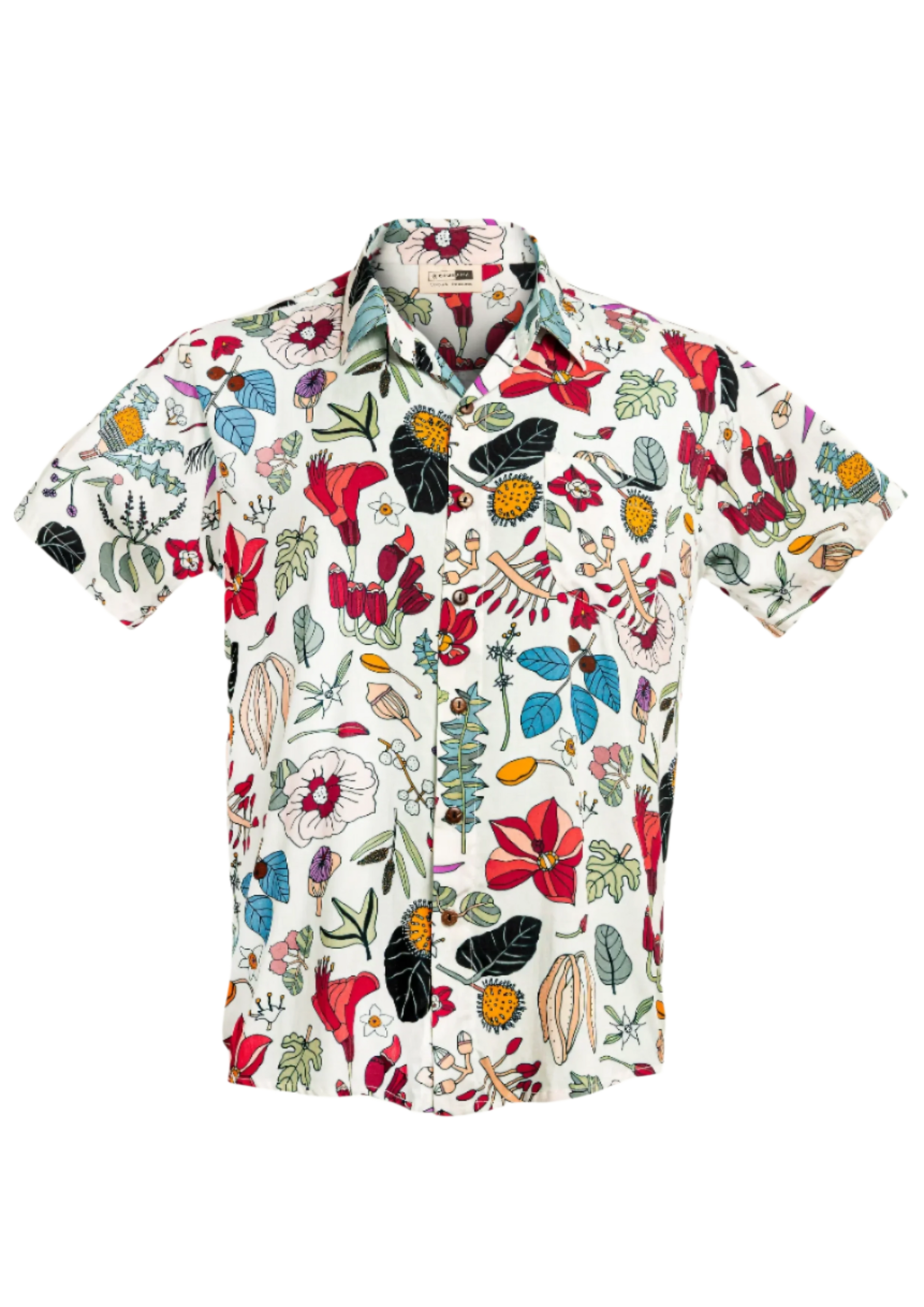 Darwin Floral White